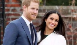 最新爆料185号梅根,185号事件背后惊人真相揭露